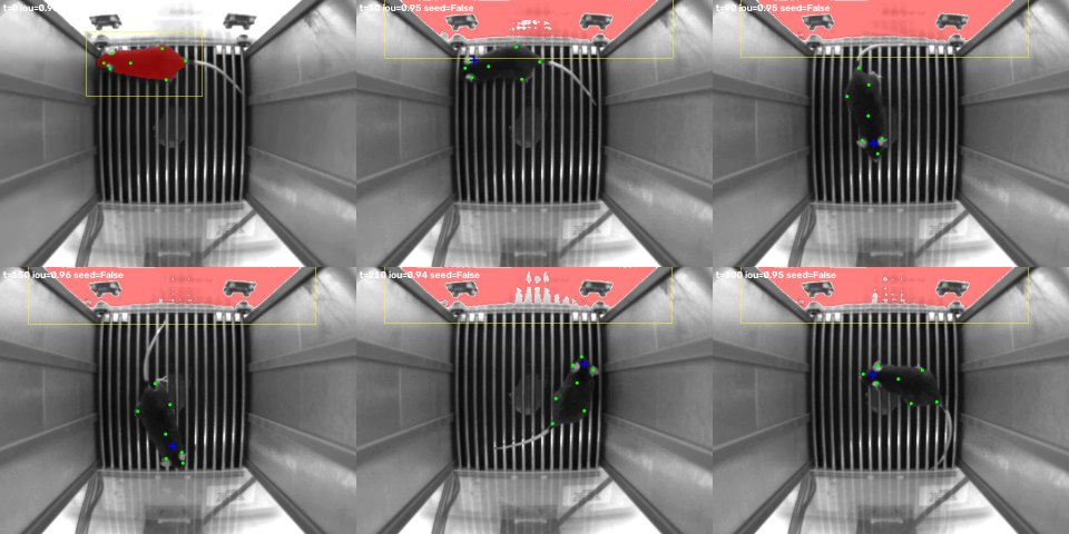 Stage 3. SAM prompted by its own last mask (red) starts on the mouse, then moves to the bright arena wall at predicted IoU 0.94&ndash;0.96 and stays there. Keypoints in green.