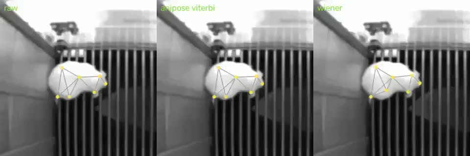 Anipose Viterbi